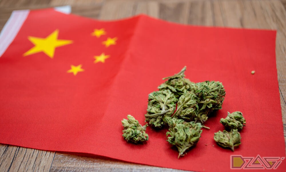 Китайская конопля название фенотропил наркотики